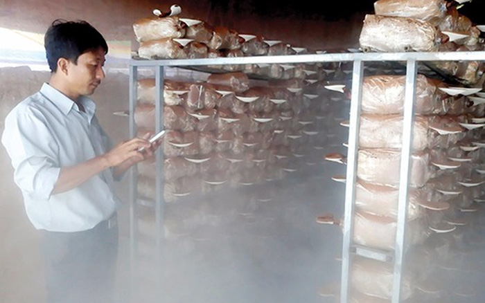 Máy phun sương tưới nấm Giải pháp tuyệt vời cho việc trồng nấm